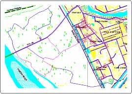 topographic